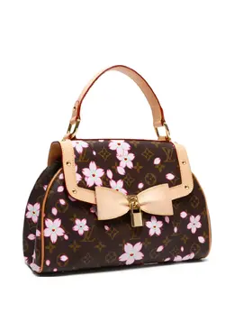 Louis Vuitton Pre-Owned: Коричневая сумка 