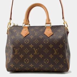 Louis Vuitton: Коричневая сумка  Speedy