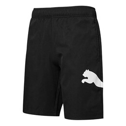 PUMA: Чёрные шорты  Training