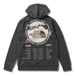 The North Face: Серая толстовка  Graphic