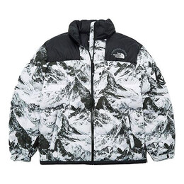 The North Face: Зимняя куртка  Winter