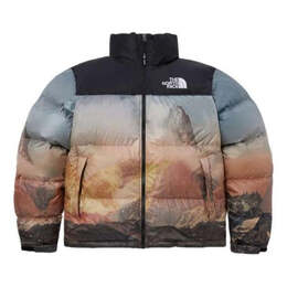 The North Face: Многоцветная куртка  Novelty Nuptse