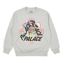 Palace: Серый свитер 