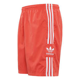Adidas: Спортивные шорты  Originals