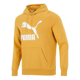 PUMA: Спортивная толстовка  Classics