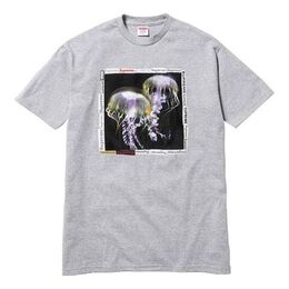 Supreme: Футболка с коротким рукавом 