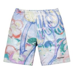 Supreme: Многоцветные шорты 