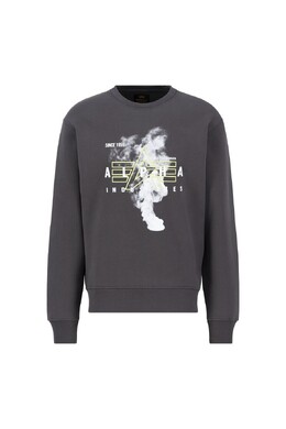 Alpha Industries: Серая толстовка 