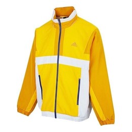 Adidas: Куртка  Training на молнии
