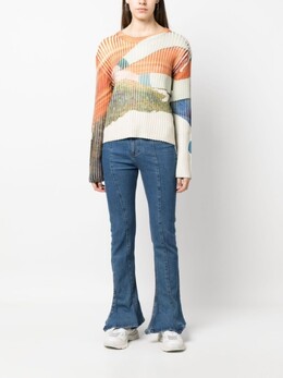 Eckhaus Latta: Свитер с принтом 