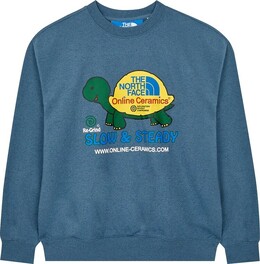 The North Face: Голубая толстовка  Graphic