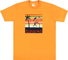 Supreme: Яркая футболка  Dunk
