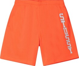 Stussy: Шорты в сетку 