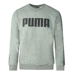 PUMA: Серая толстовка 