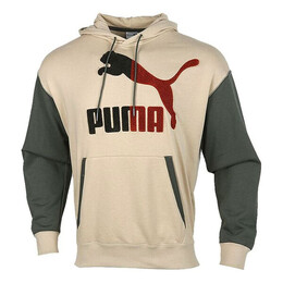 PUMA: Толстовка с капюшоном 