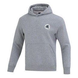 Nike: Серая толстовка  Air Jordan