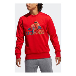 Adidas: Спортивная толстовка 