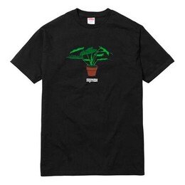 Supreme: Чёрная футболка 
