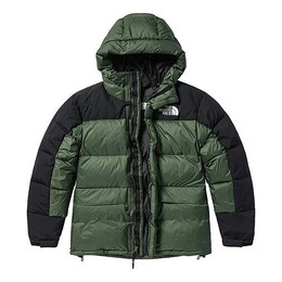The North Face: Зимняя куртка  Winter