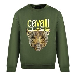 Roberto Cavalli: Свитер с леопардовым принтом 