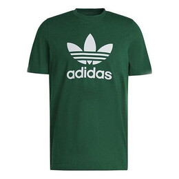 Adidas: Зелёная футболка  Adicolor