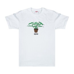 Supreme: Белая футболка 