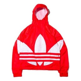 Adidas: Куртка в полоску 