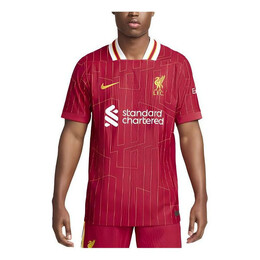 Nike: Домашняя футболка  FC