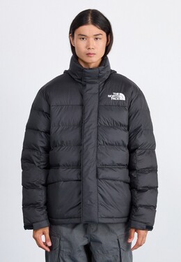 The North Face: Зимний пуховик 