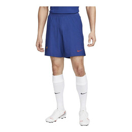 Nike: Синие шорты  FC
