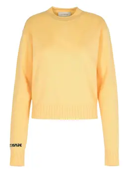 Sportmax: Кашемировый свитер 