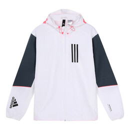 Adidas: Спортивная куртка 