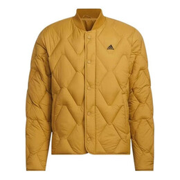 Adidas: Жёлтая куртка 