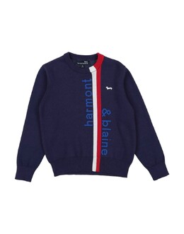 Harmont & Blaine: Фиолетовый свитер 