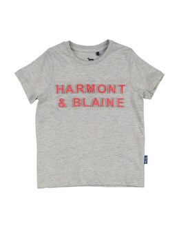 Harmont & Blaine: Серая футболка 