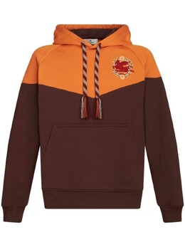 Etro: Толстовка  Pegaso с вышивкой