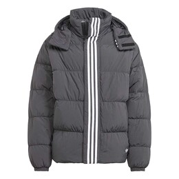Adidas: Куртка  Regen