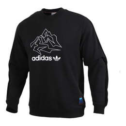 Adidas: Спортивная толстовка  Originals