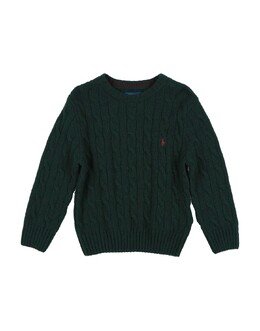 Polo Ralph Lauren: Тёмный свитер 