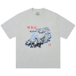 Palace: Осенняя футболка 