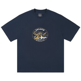 Palace: Тёмная футболка 