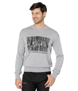 Just Cavalli: Трикотажный свитер 