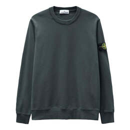 Stone Island: Серая толстовка 