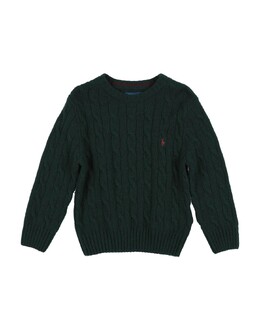 Polo Ralph Lauren: Тёмный свитер 