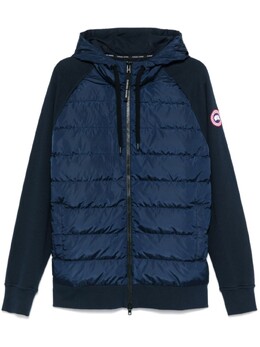 Canada Goose: Синяя толстовка  HyBridge
