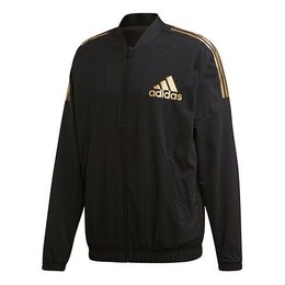 Adidas: Спортивная куртка  Training