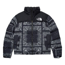 The North Face: Пуховик  Nuptse