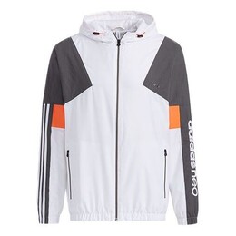 Adidas: Спортивная куртка 