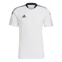Adidas: Белая футболка  Training