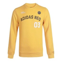 Adidas: Трикотажная толстовка 